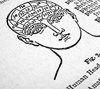 dictionary illustration of phrenology brain