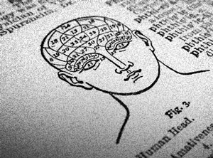 dictionary illustration of phrenology brain